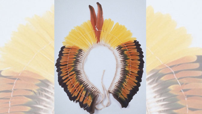 Shreyas and Mina Ajmera Gallery of Africa, The Americas, and Asia-Pacific, The Amazon Rainforest has been home to perhaps hundreds of distinct indigenous peoples for thousands of years. These people share a rich and elaborate ceremonial life. This feather headdress, made from parrot and macaw feathers and palm strips, is from the Kayapó culture of Mato Grosso, Brazil.