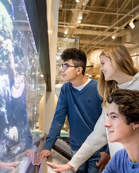 Students learning at ROM
